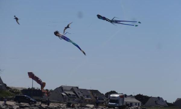 La croisière Pen Bron - Arzal 2018