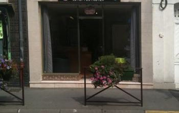 Salon de toilettage: Théo Poils à Aniche
