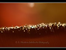 Reflets...