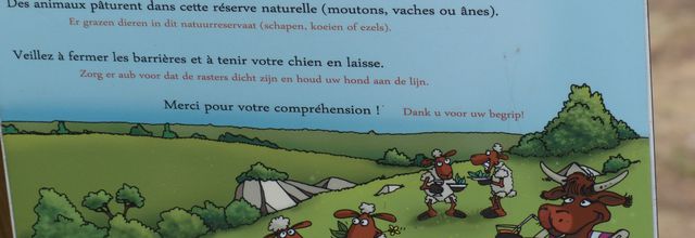 Au calme...Dans la nature