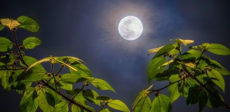 Pleine Lune de printemps