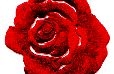 tubes fleurs divers coloris a télécharger