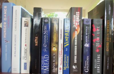 Bilan lecture du mois de Juillet