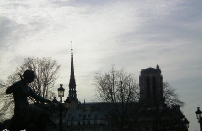 Pensées pour Notre-Dame...