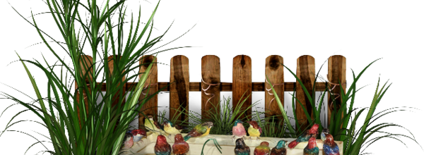 ѼVegetation