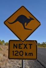 Carnet de route Outback-Sud