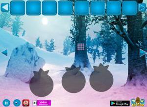 Fox escape from snowland soluce
