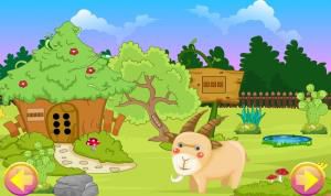 G4K Goat escape