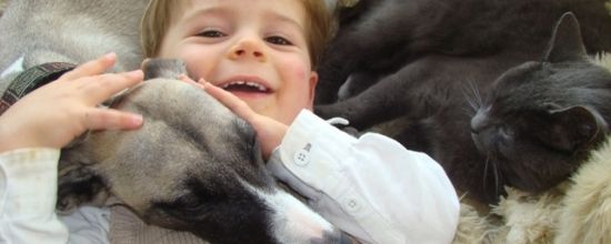 Un panier bien garni!