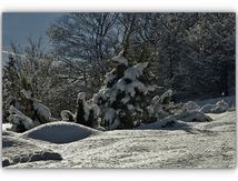 Paysages blancs sur les cimes Cévenoles