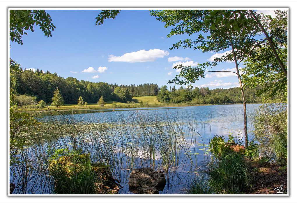 05 - Paysages
