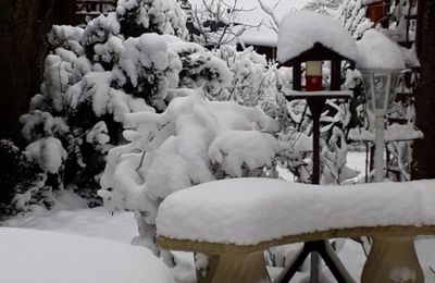 C'était il y a quelques jours...chez nous
