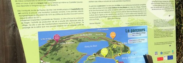 Peyriac de mer - Etang du Doul - Aude 2018