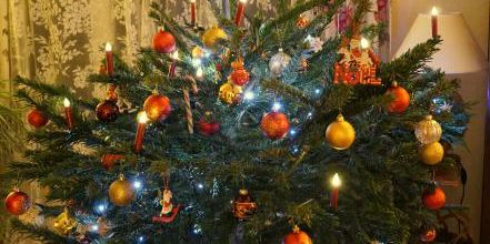 Noël 2021 : le sapin