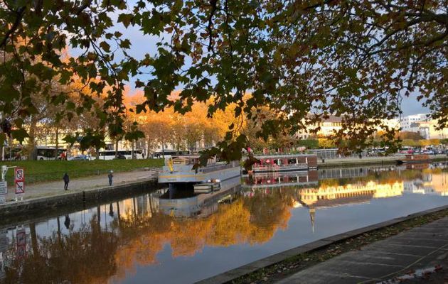 Lumière du soir au Canal St Félix.