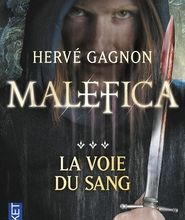 Téléchargez des livres gratuits pour iphone Malefica Tome 3 (French Edition)