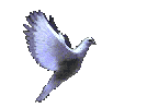 Mâyâlîlâ