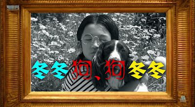 冬冬狗,狗冬冬 / Dong dong gou, gou dong dong. 2008. HD.