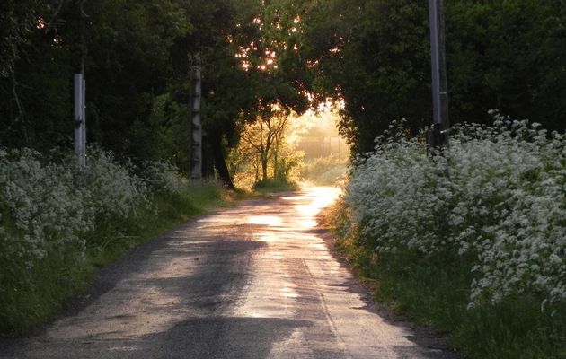 photos d'un soir !
