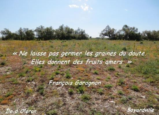 Citations en images : Ne laisse pas.....