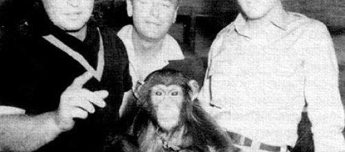 photo elvis -scatter+alan fortas-gig young 