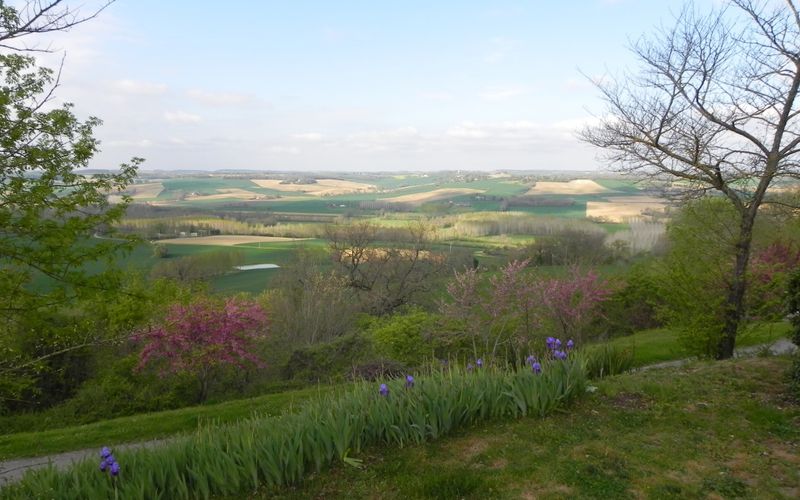 Paysage du Gers