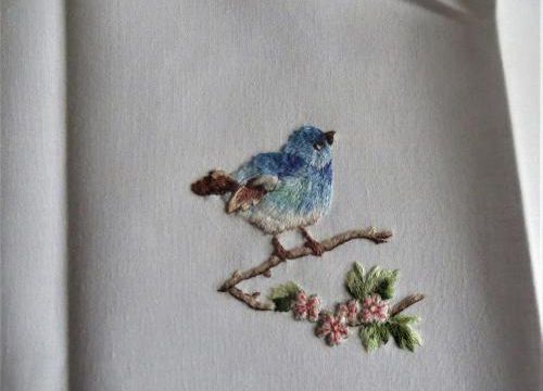 oiseau bleu