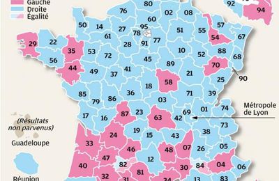 RESULTAT VOTE DEPARTEMENTALES