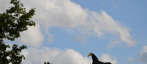 ... le boeuf sur le toit, je connaissais...