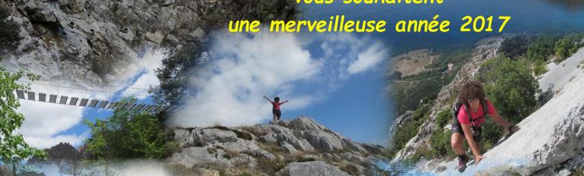 Voeux 2017