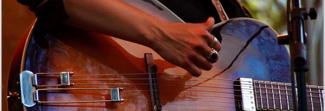 Guitare (2)