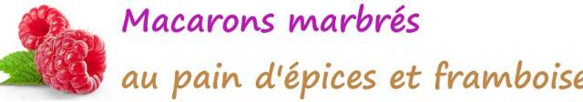Macarons marbrés au pain d'épices et framboise