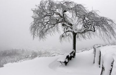  Nuit de neige (Guy de Maupassant )