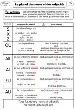 CE1 - Le pluriel des noms et adjectifs