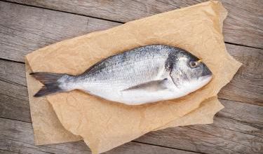 Mercure : Certains poissons seraient plus contaminés que d'autres