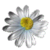 Cartonnettes et MP Printemps ! 2016