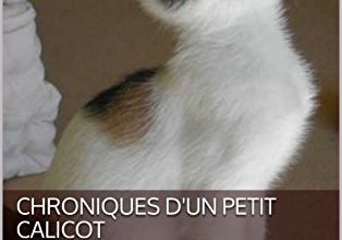Les Chroniques d'un petit calicot