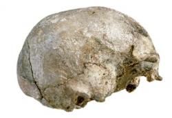 14 - Fin du Pléistocène (-126 ka) :  Les Hommes Anatomiquement Modernes en Afrique et 4ème sortie d'Afrique