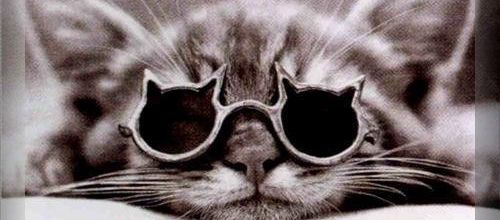 T'as le look coco