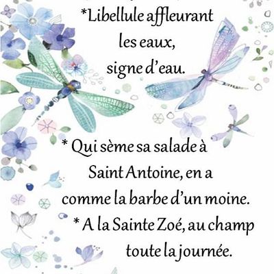 Dictons * Fête Antoine * grille prénom  !