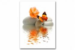 Petit mari a retrouvé son confort