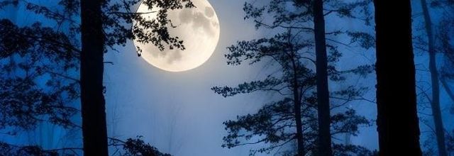 La lune en novembre 2025