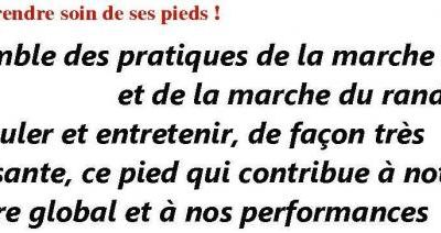 J'ai remis les pieds au Paradis