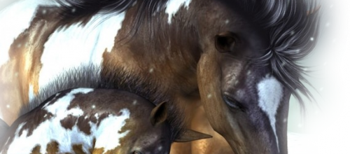 page 16 - tubes perso