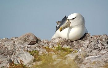 Une île où le touriste n'est pas le roi ... 