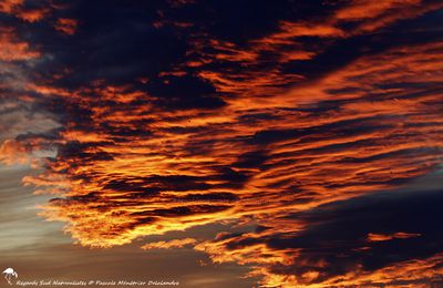 Coucher du soleil sur Montpellier