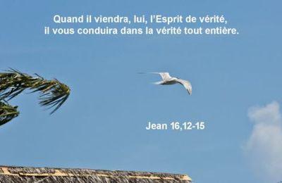 HOMÉLIE de la Fête de la Sainte Trinité - 15 juin 2025