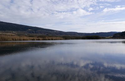 Le 31 janvier : Aux Lésines 1