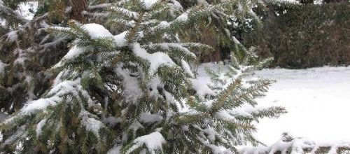 ... aujourd'hui, c'est l'HIVER...