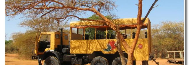SENEGAL  LA  LIBERTEE  DES  ANIMAUX  No1